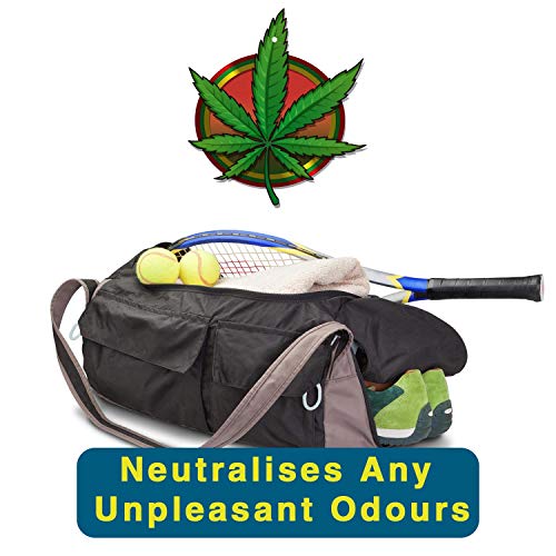 Hemp Car Air Freshener Forest Scent (1 Pack)